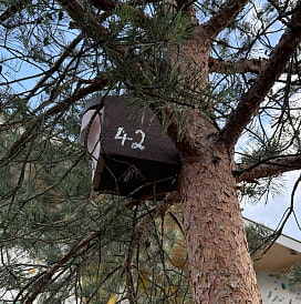 ein Wildbienenstand