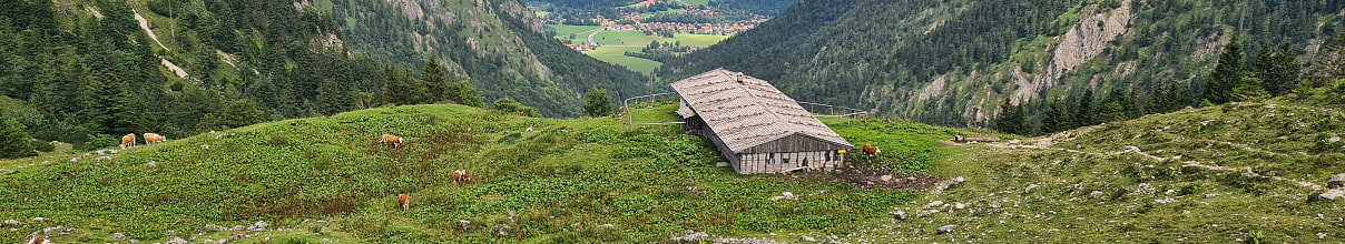 Die geplante Straße führt an der einsam gelegenen Benzingalm vorbei