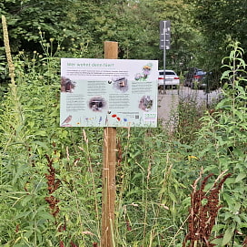 ein Wildbienenstand