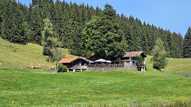 Wirtsalm
