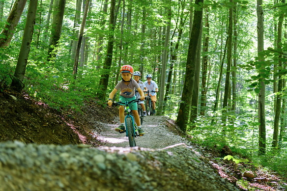 Win-win-Situation: Die neuen Trails im Würmtal sind attraktiv, wild gebaute Trails wurden renaturiert.