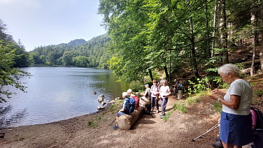 Längssee