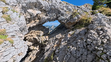 Das Fensterl