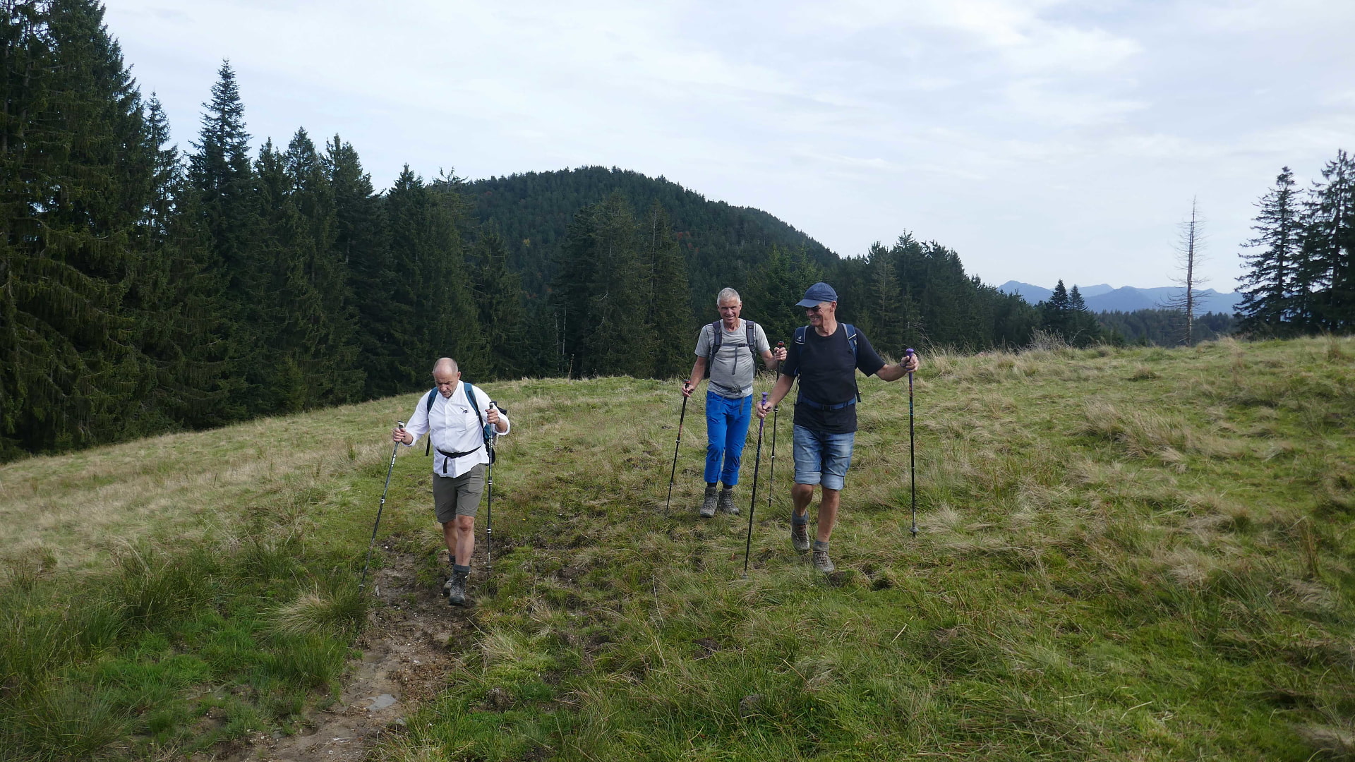 Drei Männer gehen über eine Bergwiese; im Hintergrund eine bewaldete Bergkuppe