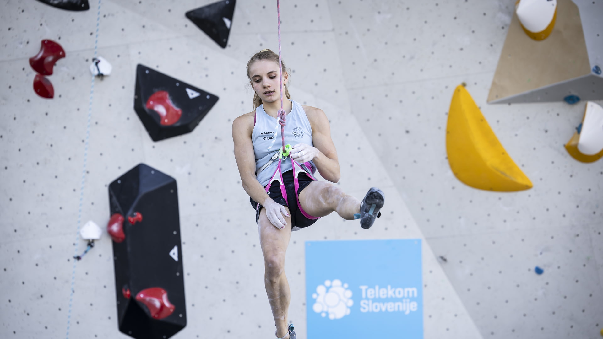 Anna Apel sitzt im Klettergurt, hinter ihr eine Kletterwand.