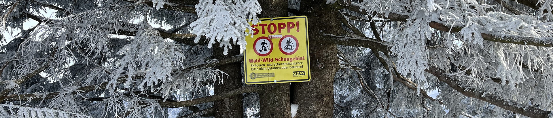 Wald-Wild-Schongebiet-Schild am Baum