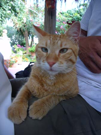 Kalymnos069