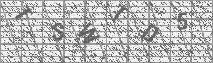 Captcha Bild