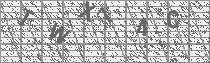 Captcha Bild