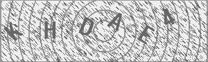 Captcha Bild