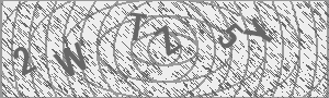 Captcha Bild