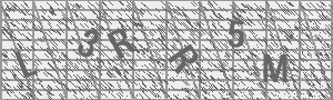 Captcha Bild