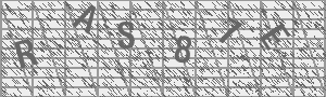 Captcha Bild