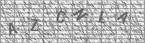 Captcha Bild
