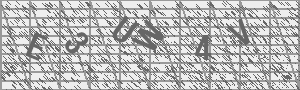Captcha Bild