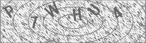 Captcha Bild