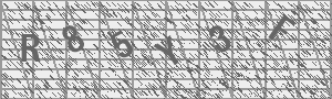 Captcha Bild