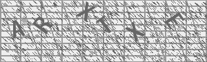 Captcha Bild