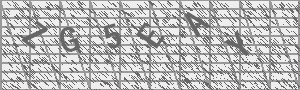 Captcha Bild