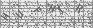 Captcha Bild