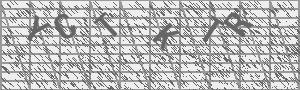 Captcha Bild