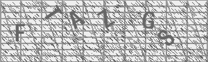 Captcha Bild