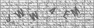 Captcha Bild