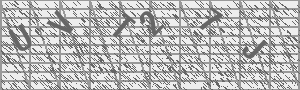 Captcha Bild