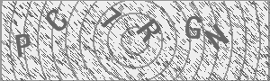 Captcha Bild