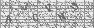 Captcha Bild