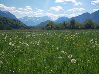Blick übers Murnauer Moos HS