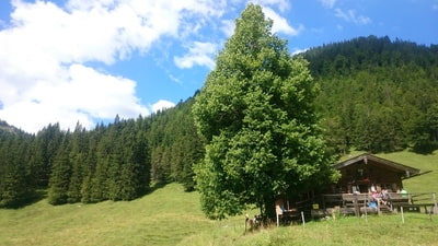 Bayralm