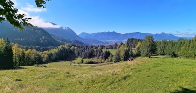 Hohe Tanne