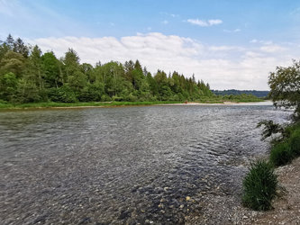 Isar am Beginn der Pupplinger Au