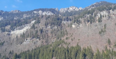Hier geht es hoch
