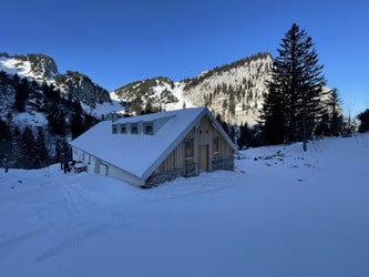 Probstalm 