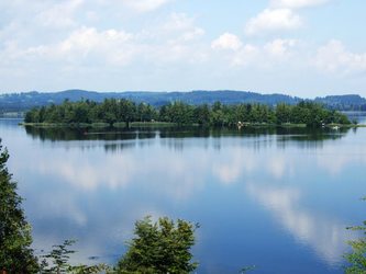 Große Birke im Staffelsee