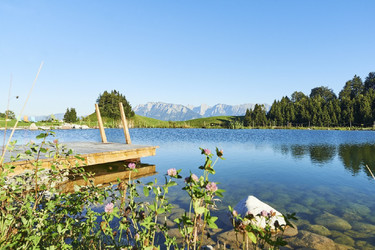 Blick vom Berggasthof Bichlersee ins Kaisergebirge