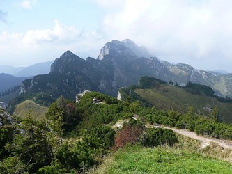 Benediktenwand vom Brauneck
