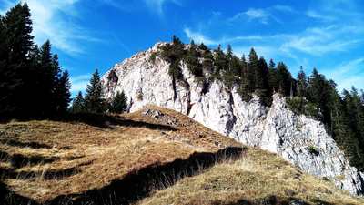 Hennenkopf