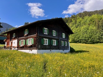 Unsere bärige Unterkunft im Montafon