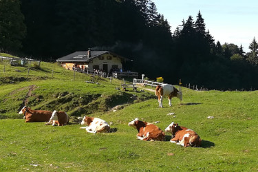 Staudacher Alm