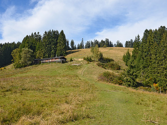 Holzer Alm mit ihrem Wiesengipfel