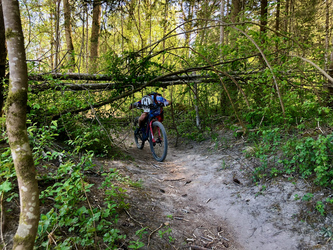 Wir üben das situative Anwenden der MTB Fahrtechnik