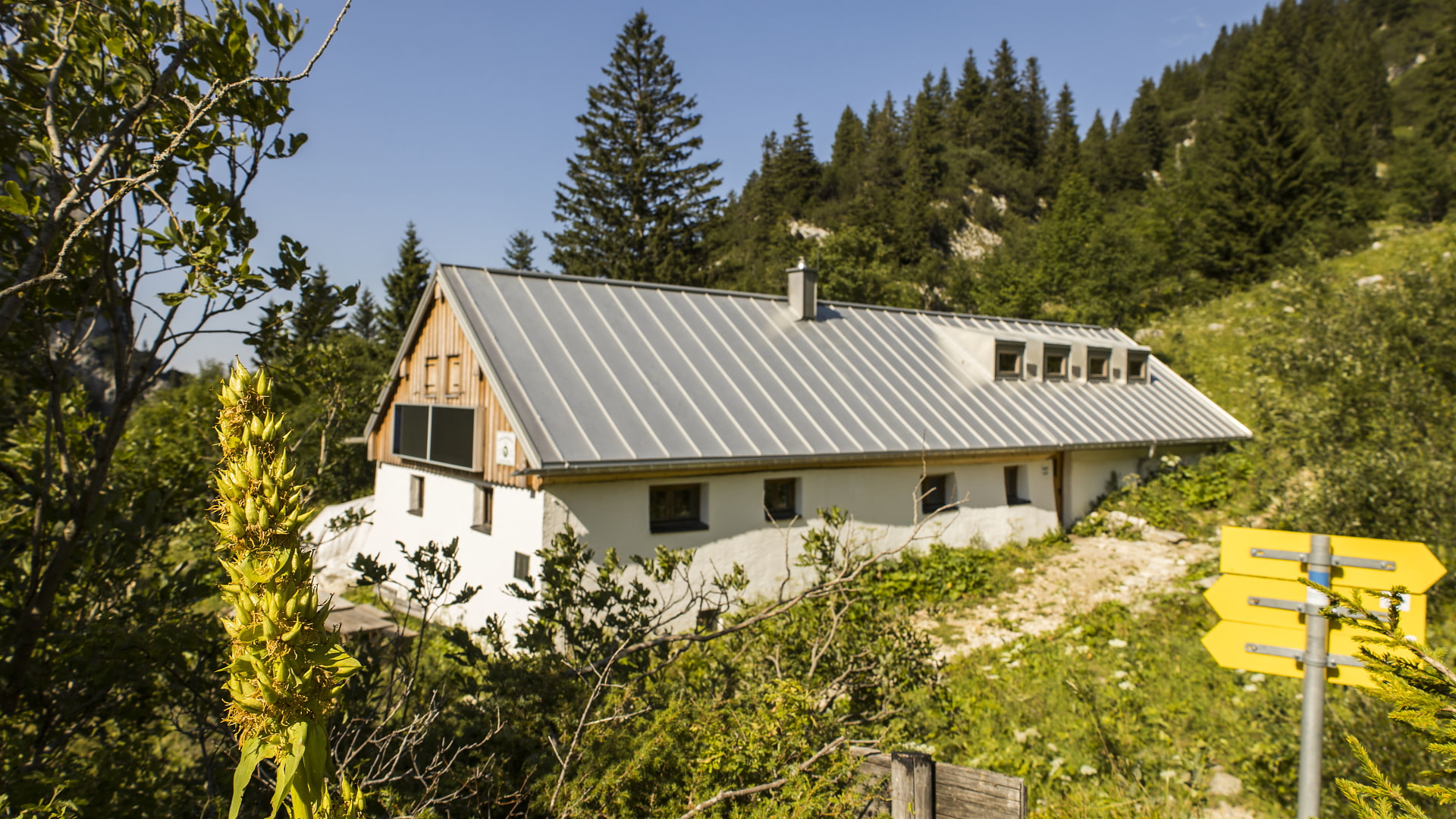 Probstalm 1370 m Benediktenwandgruppe